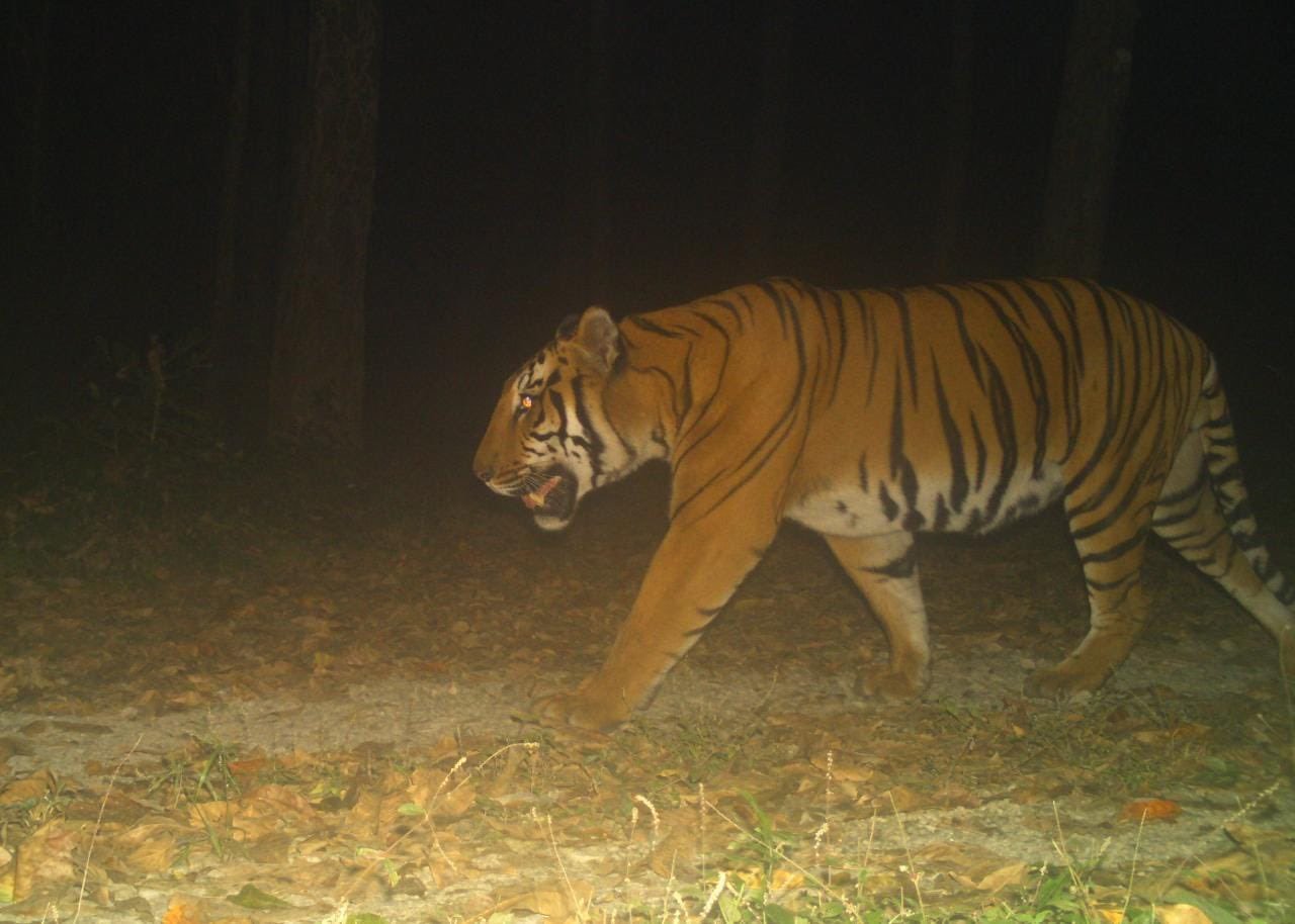 Buxa National Park