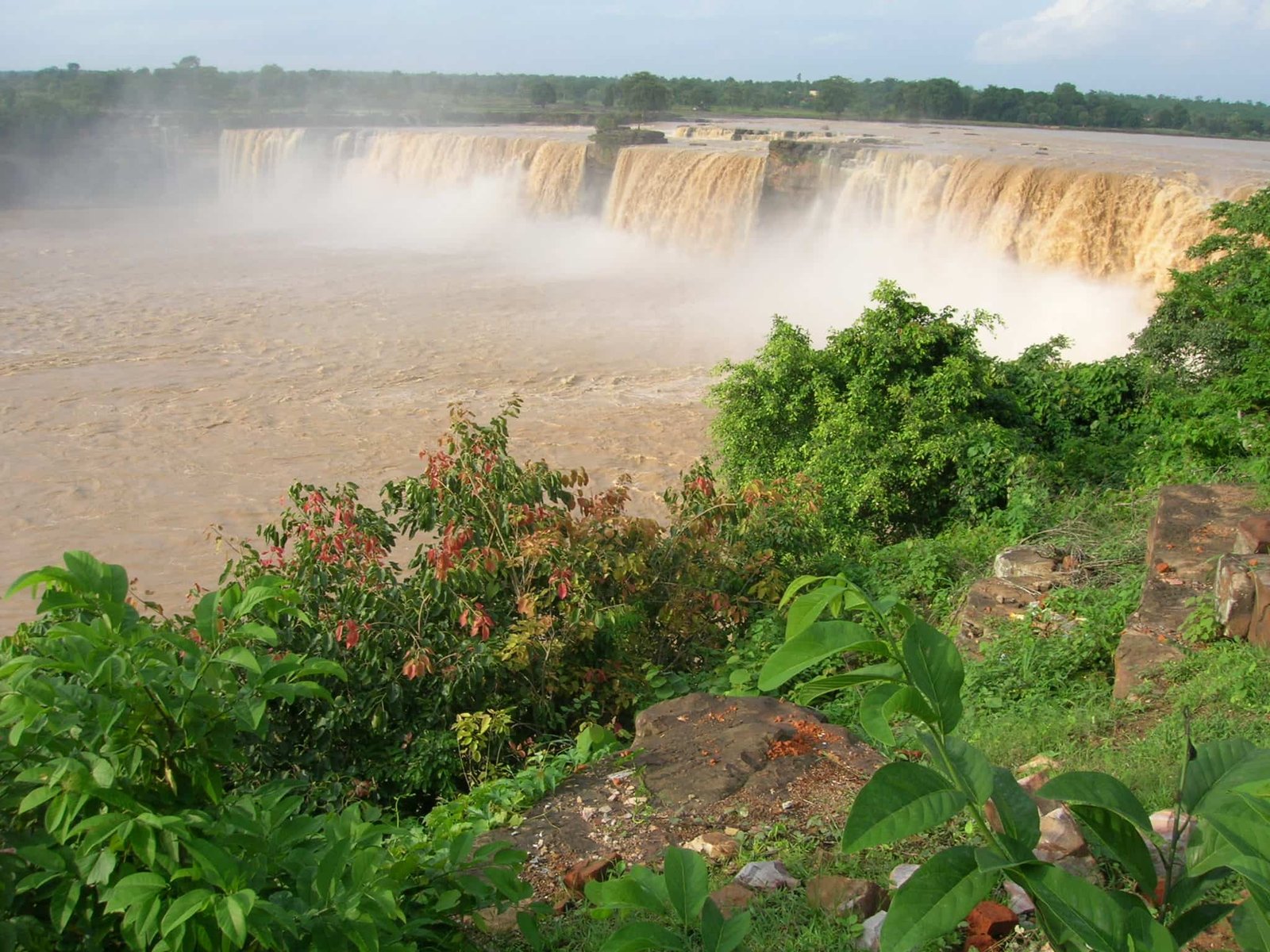 indravati national park