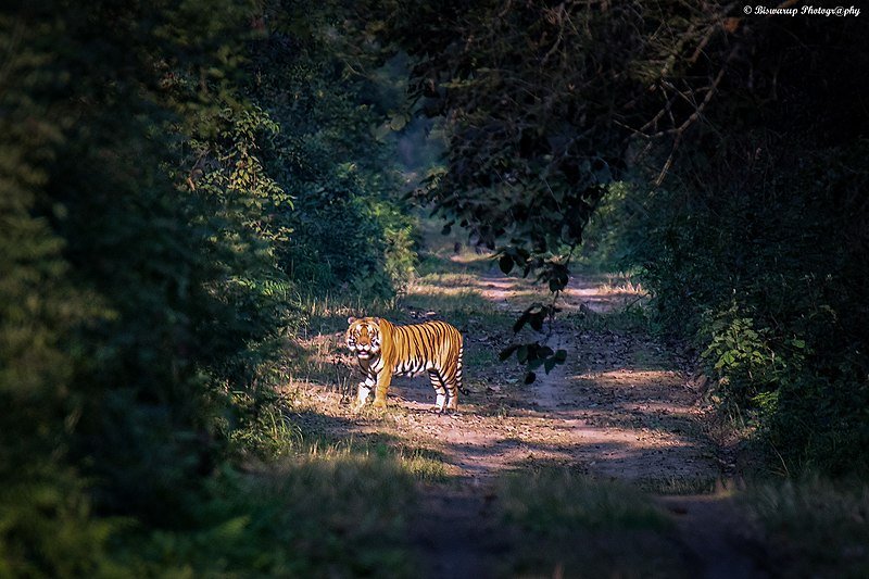 national parks in uttar pradesh