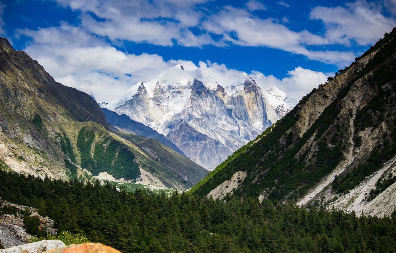 Gangotri National Park