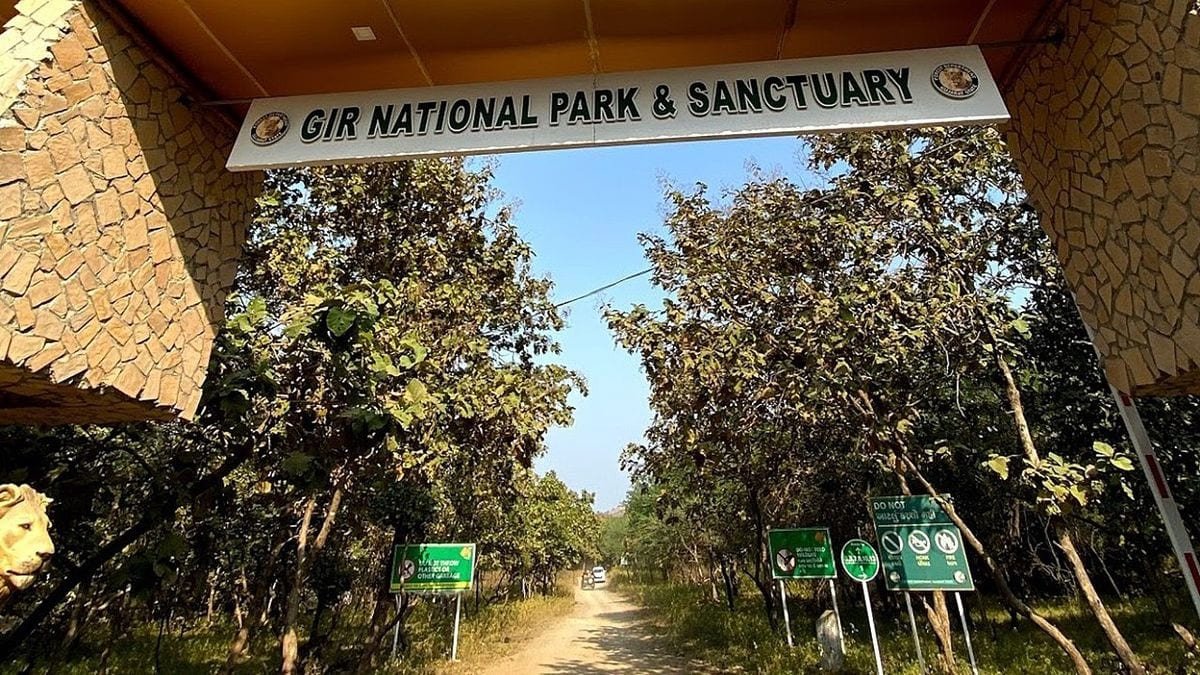 best time to visit Gir National Park