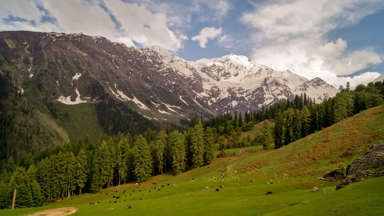 National Parks in Himachal Pradesh