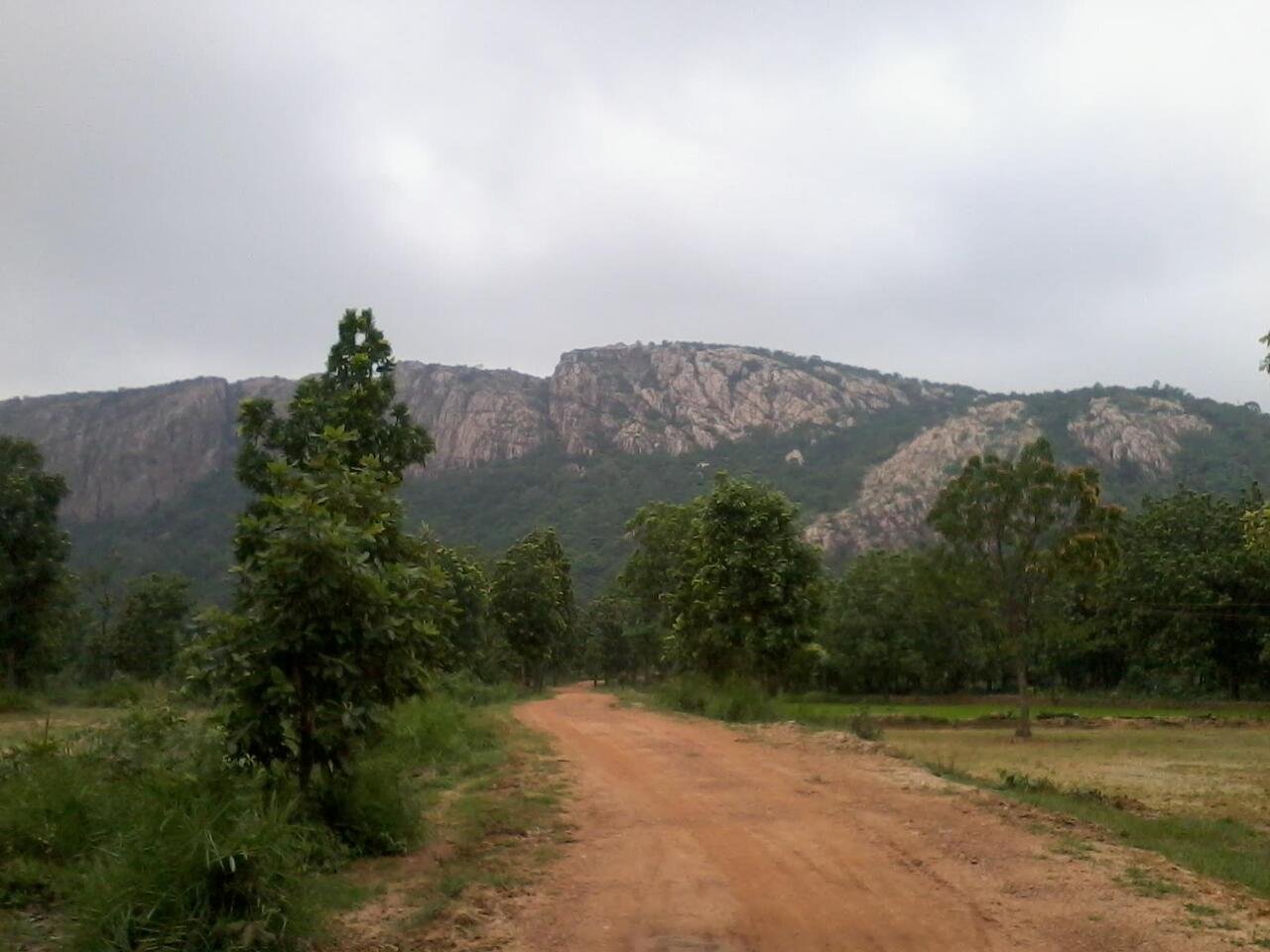 Guru Ghasidas National Park