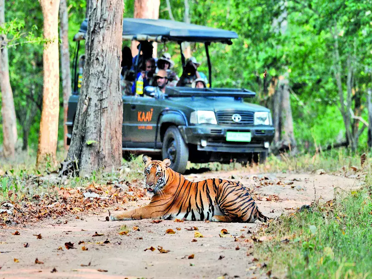 Nagarhole National Park Safari Timings