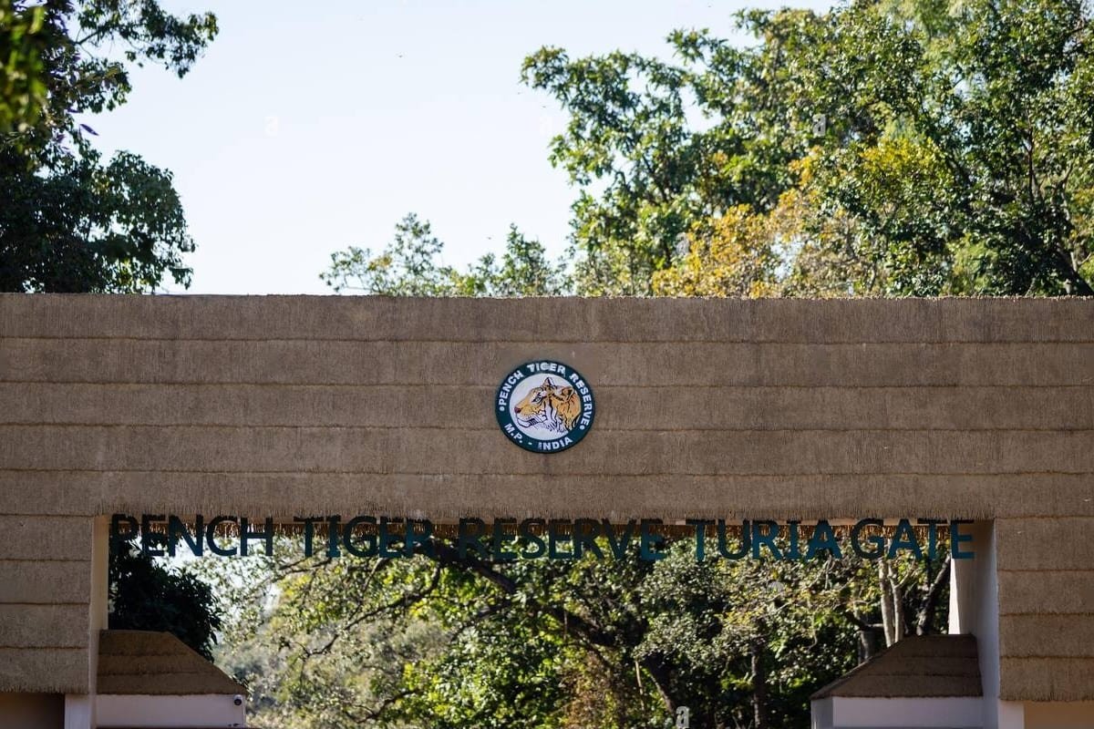 Pench National Park Turia Gate