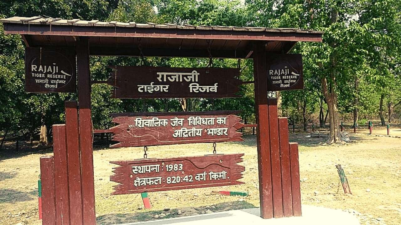 Rajaji National Park Ticket Price