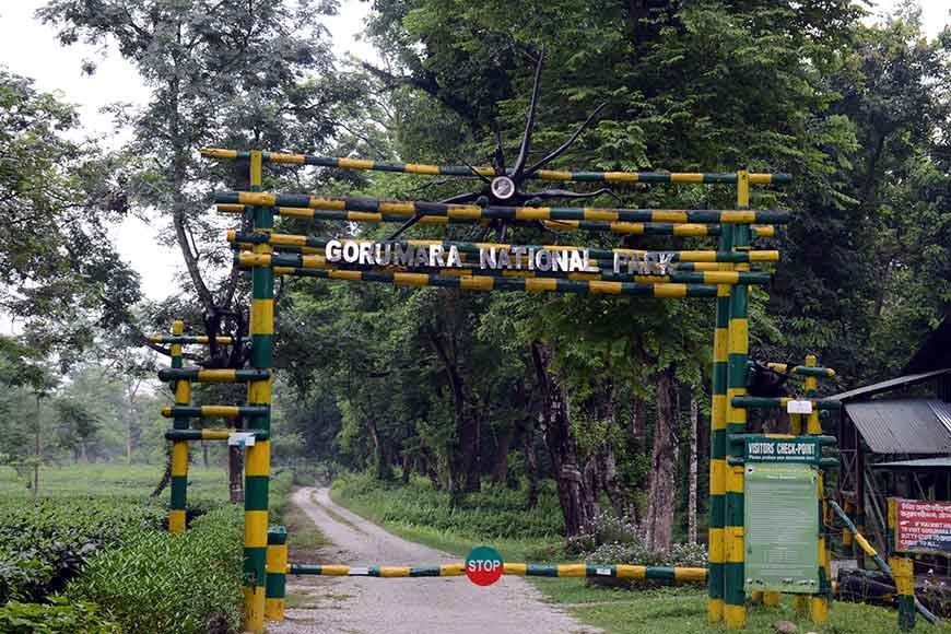 Gorumara National Park